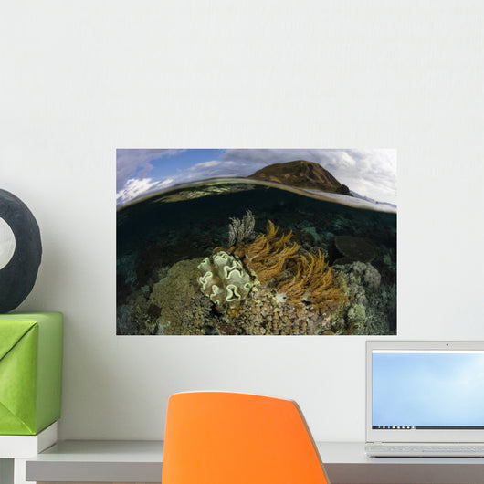 Beautiful Set Corals Grows Submerged Wall Decal