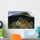 Beautiful Set Corals Grows Submerged Wall Decal