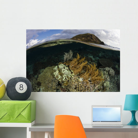 Beautiful Set Corals Grows Submerged Wall Decal