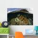 Beautiful Set Corals Grows Submerged Wall Decal