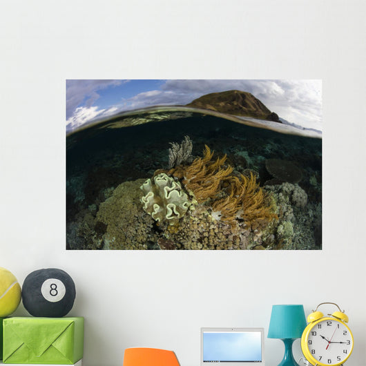 Beautiful Set Corals Grows Submerged Wall Decal