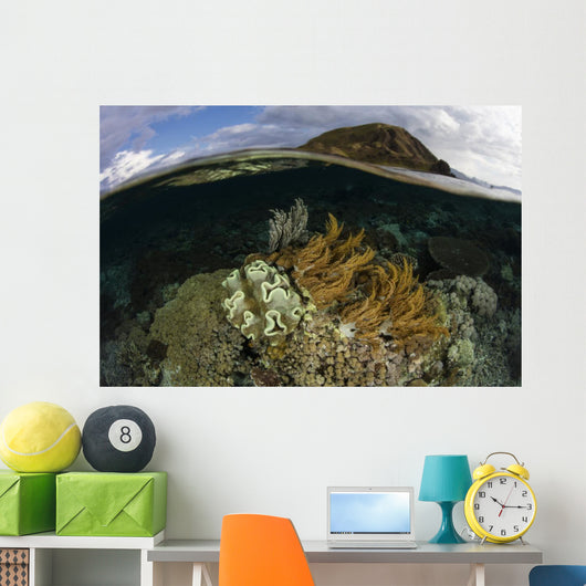 Beautiful Set Corals Grows Submerged Wall Decal
