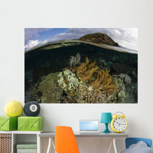 Beautiful Set Corals Grows Submerged Wall Decal