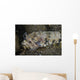 Lizardfish Feeds Large Blenny Left Side Wall Decal