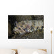 Lizardfish Feeds Large Blenny Left Side Wall Decal