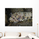 Lizardfish Feeds Large Blenny Left Side Wall Decal