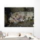 Lizardfish Feeds Large Blenny Left Side Wall Decal