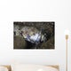 Lizardfish Feeds Large Blenny Wall Decal