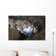 Lizardfish Feeds Large Blenny Wall Decal