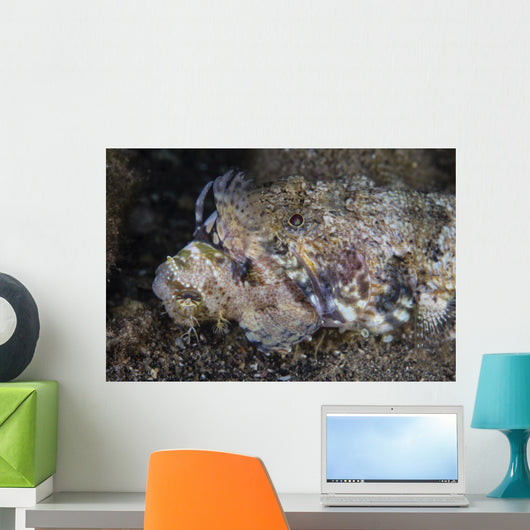 Lizardfish Feeds Large Blenny Close-up Wall Decal