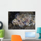 Lizardfish Feeds Large Blenny Close-up Wall Decal