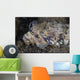 Lizardfish Feeds Large Blenny Close-up Wall Decal