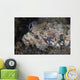 Lizardfish Feeds Large Blenny Close-up Wall Decal