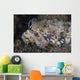 Lizardfish Feeds Large Blenny Close-up Wall Decal