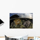 Beautiful Set Corals Grows Evening Sky Wall Decal