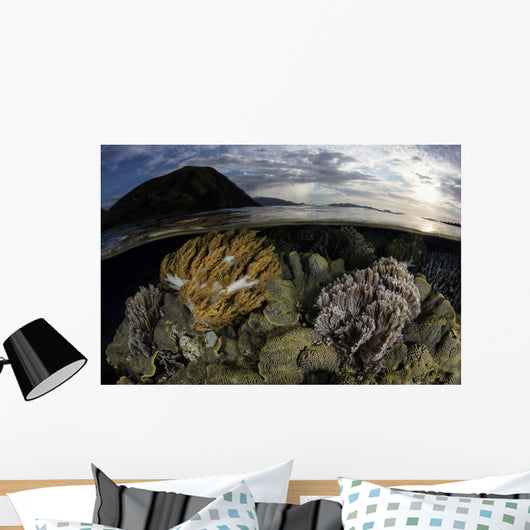Beautiful Set Corals Grows Evening Sky Wall Decal