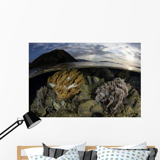 Beautiful Set Corals Grows Evening Sky Wall Decal