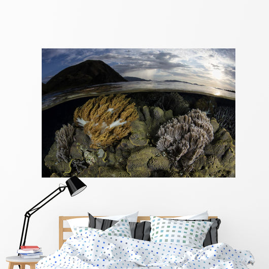 Beautiful Set Corals Grows Evening Sky Wall Decal