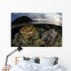 Beautiful Set Corals Grows Evening Sky Wall Decal