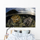 Beautiful Set Corals Grows Evening Sky Wall Decal