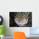 Predatory Lizardfish Is Finishing Wall Decal