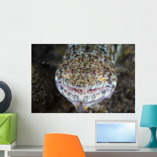 Predatory Lizardfish Is Finishing Wall Decal