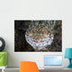 Predatory Lizardfish Is Finishing Wall Decal