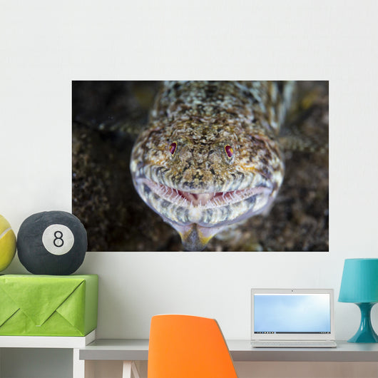 Predatory Lizardfish Is Finishing Wall Decal