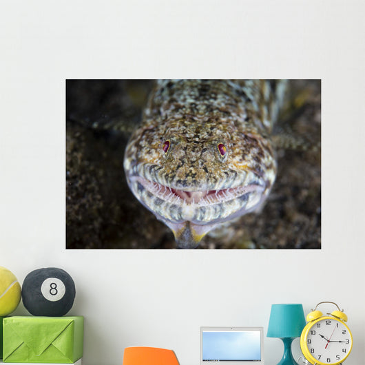Predatory Lizardfish Is Finishing Wall Decal