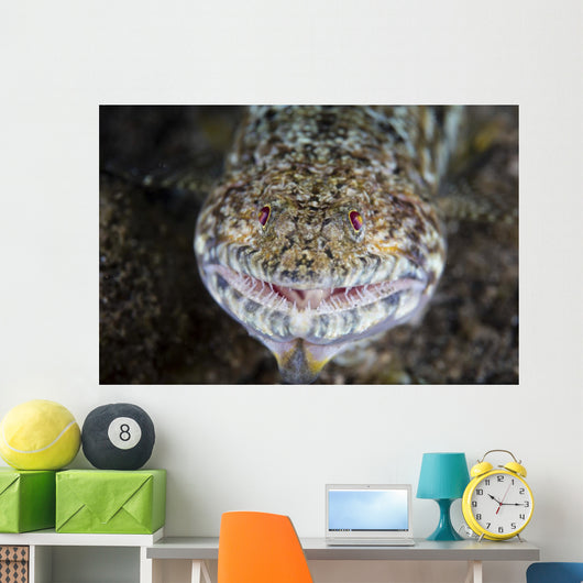 Predatory Lizardfish Is Finishing Wall Decal