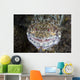 Predatory Lizardfish Is Finishing Wall Decal