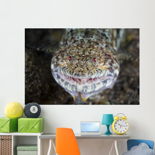 Predatory Lizardfish Is Finishing Wall Decal