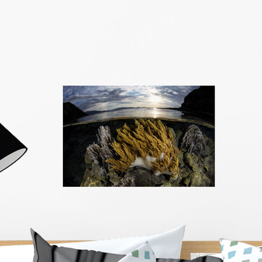 Beautiful Set Corals Grows Yellow Wall Decal