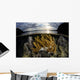 Beautiful Set Corals Grows Yellow Wall Decal