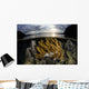 Beautiful Set Corals Grows Yellow Wall Decal