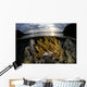 Beautiful Set Corals Grows Yellow Wall Decal