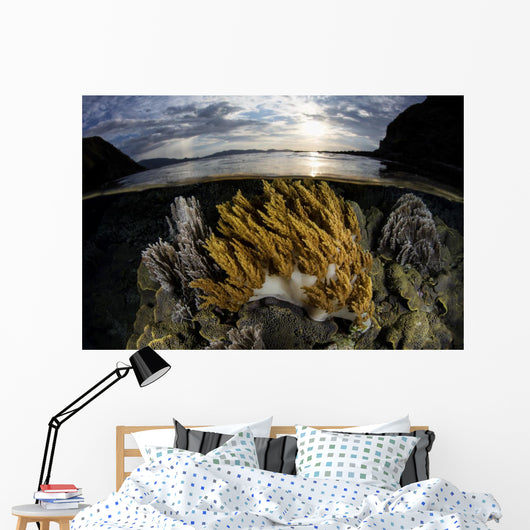 Beautiful Set Corals Grows Yellow Wall Decal