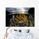 Beautiful Set Corals Grows Yellow Wall Decal