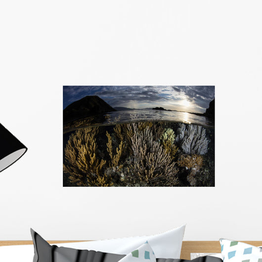 Beautiful Set Corals Grows Wall Decal