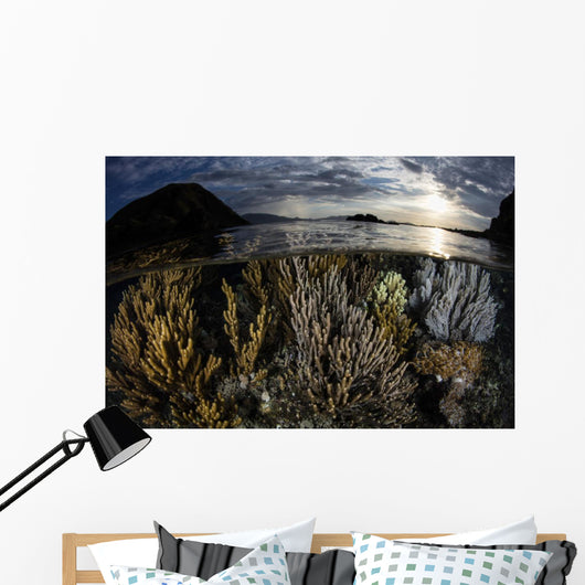 Beautiful Set Corals Grows Wall Decal