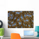 Detail Beautiful Reef-building Coral Yellow Wall Decal