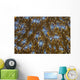 Detail Beautiful Reef-building Coral Yellow Wall Decal