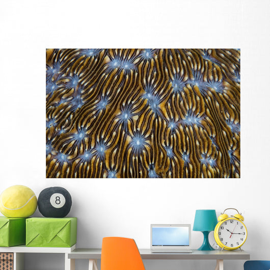 Detail Beautiful Reef-building Coral Yellow Wall Decal