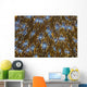 Detail Beautiful Reef-building Coral Yellow Wall Decal