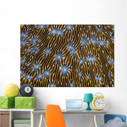 Detail Beautiful Reef-building Coral Yellow Wall Decal