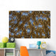 Detail Beautiful Reef-building Coral Yellow Wall Decal