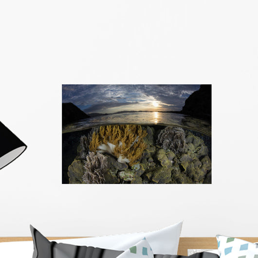 Beautiful Set Corals Grows Surface Wall Decal
