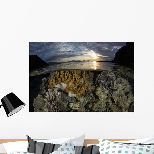 Beautiful Set Corals Grows Surface Wall Decal