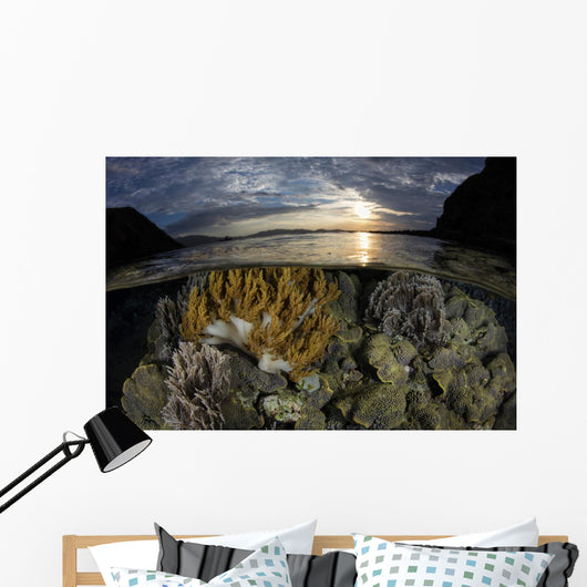 Beautiful Set Corals Grows Surface Wall Decal
