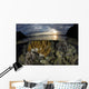 Beautiful Set Corals Grows Surface Wall Decal